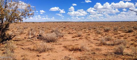 Tiny photo for 006S Willis Ranch Ln, Snowflake, AZ 85937 (MLS # 257901)