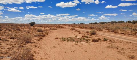 Tiny photo for 006S Willis Ranch Ln, Snowflake, AZ 85937 (MLS # 257901)