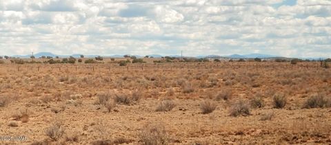 Tiny photo for 006S Willis Ranch Ln, Snowflake, AZ 85937 (MLS # 257901)