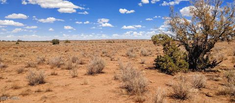 Tiny photo for 006S Willis Ranch Ln, Snowflake, AZ 85937 (MLS # 257901)