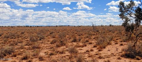 Tiny photo for 006S Willis Ranch Ln, Snowflake, AZ 85937 (MLS # 257901)