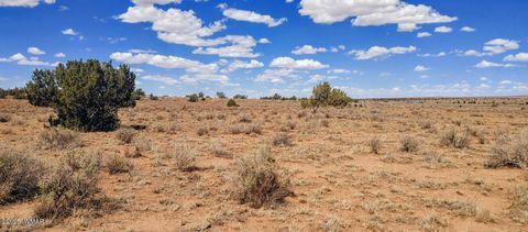 Tiny photo for 006S Willis Ranch Ln, Snowflake, AZ 85937 (MLS # 257901)