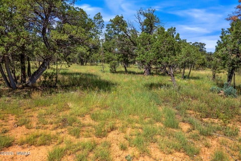 Tiny photo for 2864 Buck Circle, Overgaard, AZ 85933 (MLS # 262981)
