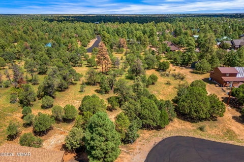 Tiny photo for 2864 Buck Circle, Overgaard, AZ 85933 (MLS # 262981)