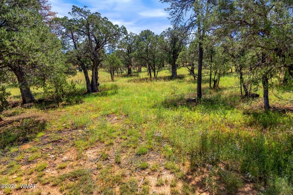 2864 BUCK CIR, OVERGAARD, AZ 85933 - Image a398c72c3cef9baa6d130efe55e4d7a3/3036354835