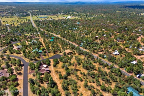 Tiny photo for 2864 Buck Circle, Overgaard, AZ 85933 (MLS # 262981)