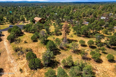 Tiny photo for 2864 Buck Circle, Overgaard, AZ 85933 (MLS # 262981)