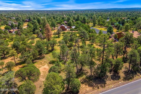 Tiny photo for 2864 Buck Circle, Overgaard, AZ 85933 (MLS # 262981)