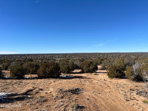 Tiny photo for 25 N County Rd 7210, Saint Johns, AZ 85936 (MLS # 259240)