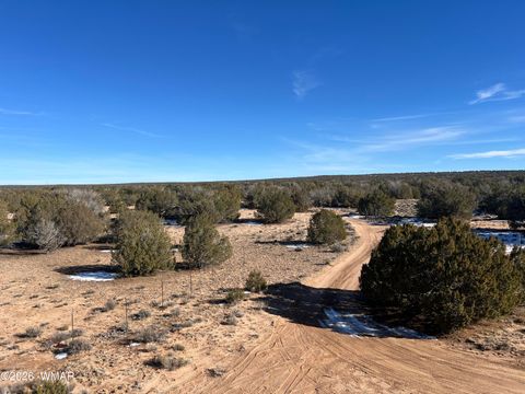 Tiny photo for 25 N County Rd 7210, Saint Johns, AZ 85936 (MLS # 259240)
