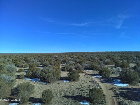 Tiny photo for 25 N County Rd 7210, Saint Johns, AZ 85936 (MLS # 259240)