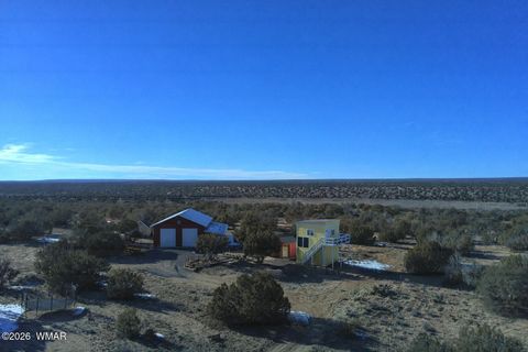 Photo of 25 N County Rd 7210, Saint Johns, AZ 85936 (MLS # 259240)