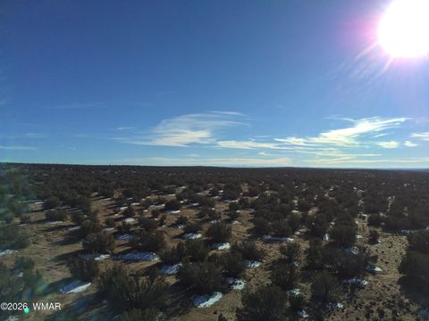 Tiny photo for 25 N County Rd 7210, Saint Johns, AZ 85936 (MLS # 259240)