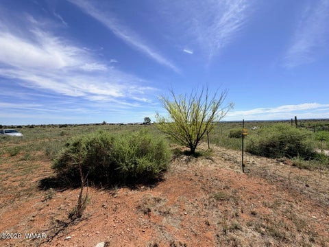 Tiny photo for 3640 N 5th Street, Snowflake, AZ 85937 (MLS # 262810)
