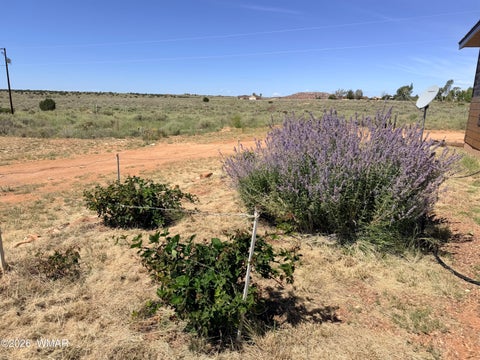 Tiny photo for 3640 N 5th Street, Snowflake, AZ 85937 (MLS # 262810)