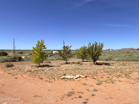 Tiny photo for 3640 N 5th Street, Snowflake, AZ 85937 (MLS # 262810)
