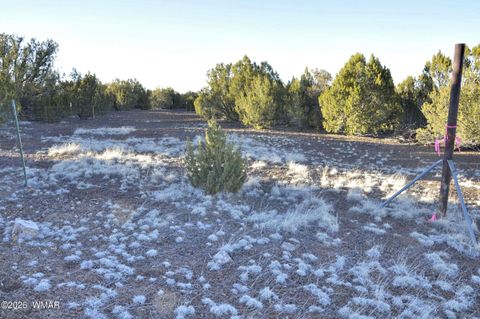 Tiny photo for 26C Ranch Road, Show Low, AZ 85901 (MLS # 260702)