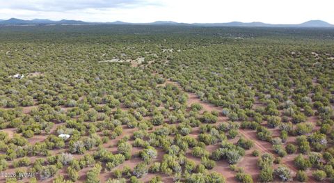 Photo of 26C Ranch Road, Show Low, AZ 85901 (MLS # 260702)