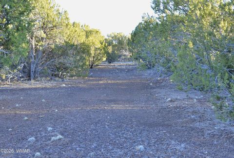 Tiny photo for 26C Ranch Road, Show Low, AZ 85901 (MLS # 260702)