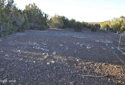 Tiny photo for 26C Ranch Road, Show Low, AZ 85901 (MLS # 260702)