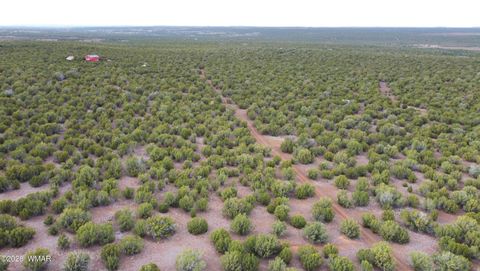 Tiny photo for 26C Ranch Road, Show Low, AZ 85901 (MLS # 260702)