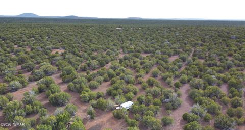 Tiny photo for 26C Ranch Road, Show Low, AZ 85901 (MLS # 260702)