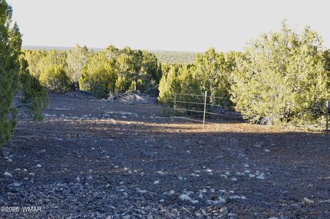 Tiny photo for 26C Ranch Road, Show Low, AZ 85901 (MLS # 260702)