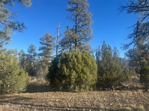 Tiny photo for 2060 E Bluff Ridge Road, Show Low, AZ 85901 (MLS # 258858)