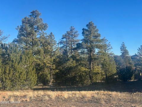 Tiny photo for 2060 E Bluff Ridge Road, Show Low, AZ 85901 (MLS # 258858)
