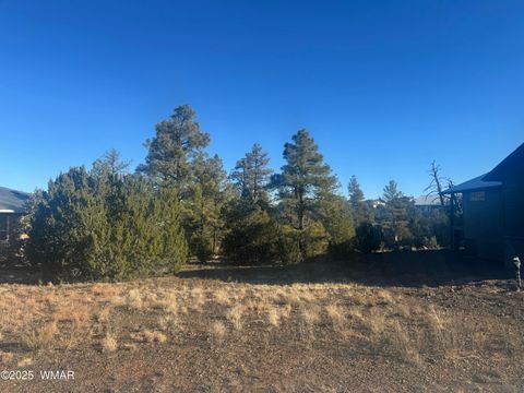 Tiny photo for 2060 E Bluff Ridge Road, Show Low, AZ 85901 (MLS # 258858)