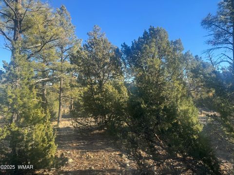 Photo of 2060 E Bluff Ridge Road, Show Low, AZ 85901 (MLS # 258858)