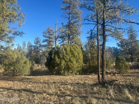Tiny photo for 2060 E Bluff Ridge Road, Show Low, AZ 85901 (MLS # 258858)