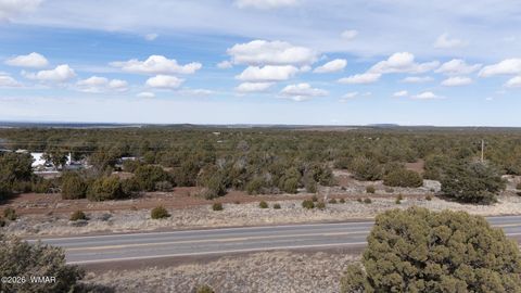 Tiny photo for 35467 HWY 61, Vernon, AZ 85940 (MLS # 259578)