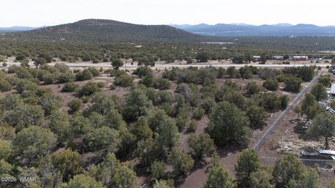 Photo of 35467 HWY 61, Vernon, AZ 85940 (MLS # 259578)