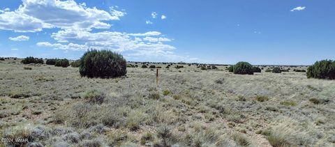 Tiny photo for 1900 Pinedale Road, Taylor, AZ 85939 (MLS # 234388)