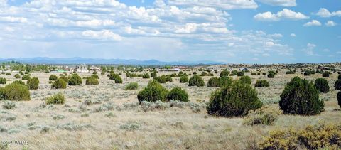 Tiny photo for 1900 Pinedale Road, Taylor, AZ 85939 (MLS # 234388)