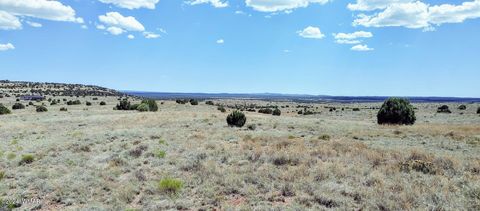 Tiny photo for 1900 Pinedale Road, Taylor, AZ 85939 (MLS # 234388)