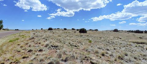 Tiny photo for 1900 Pinedale Road, Taylor, AZ 85939 (MLS # 234388)