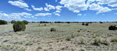 Tiny photo for 1900 Pinedale Road, Taylor, AZ 85939 (MLS # 234388)