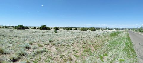 Tiny photo for 1900 Pinedale Road, Taylor, AZ 85939 (MLS # 234388)