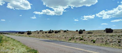 Tiny photo for 1900 Pinedale Road, Taylor, AZ 85939 (MLS # 234388)