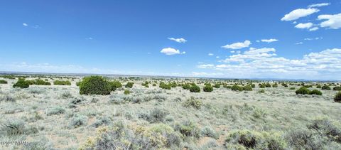 Tiny photo for 1900 Pinedale Road, Taylor, AZ 85939 (MLS # 234388)