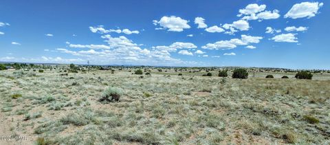 Tiny photo for 1900 Pinedale Road, Taylor, AZ 85939 (MLS # 234388)