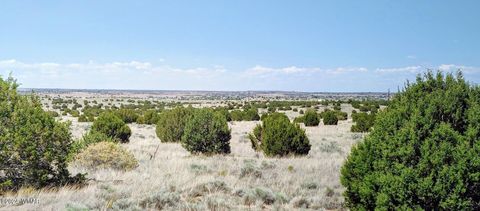 Tiny photo for 1900 Pinedale Road, Taylor, AZ 85939 (MLS # 234388)