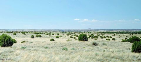 Tiny photo for 1900 Pinedale Road, Taylor, AZ 85939 (MLS # 234388)