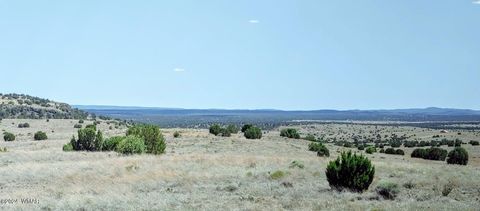 Tiny photo for 1900 Pinedale Road, Taylor, AZ 85939 (MLS # 234388)