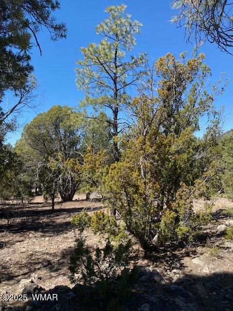 Tiny photo for 2600 N Eagle View Circle, Show Low, AZ 85901 (MLS # 255096)