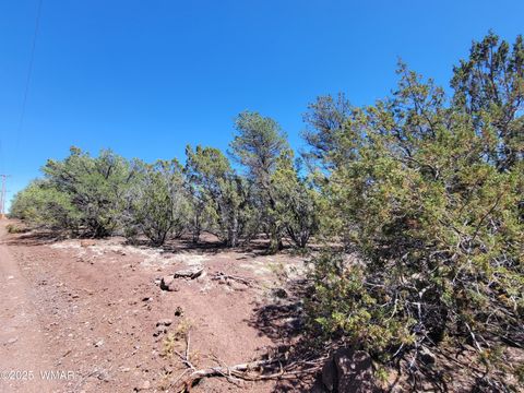 Tiny photo for TBD Co Rd 3113, Vernon, AZ 85940 (MLS # 261636)