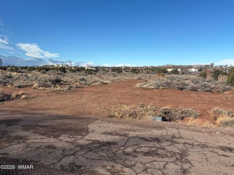 Photo of 356 S Porter Road, Snowflake, AZ 85937 (MLS # 259594)