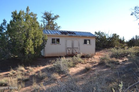 Tiny photo for 9802 Dawn Star Trail, Snowflake, AZ 85937 (MLS # 258813)